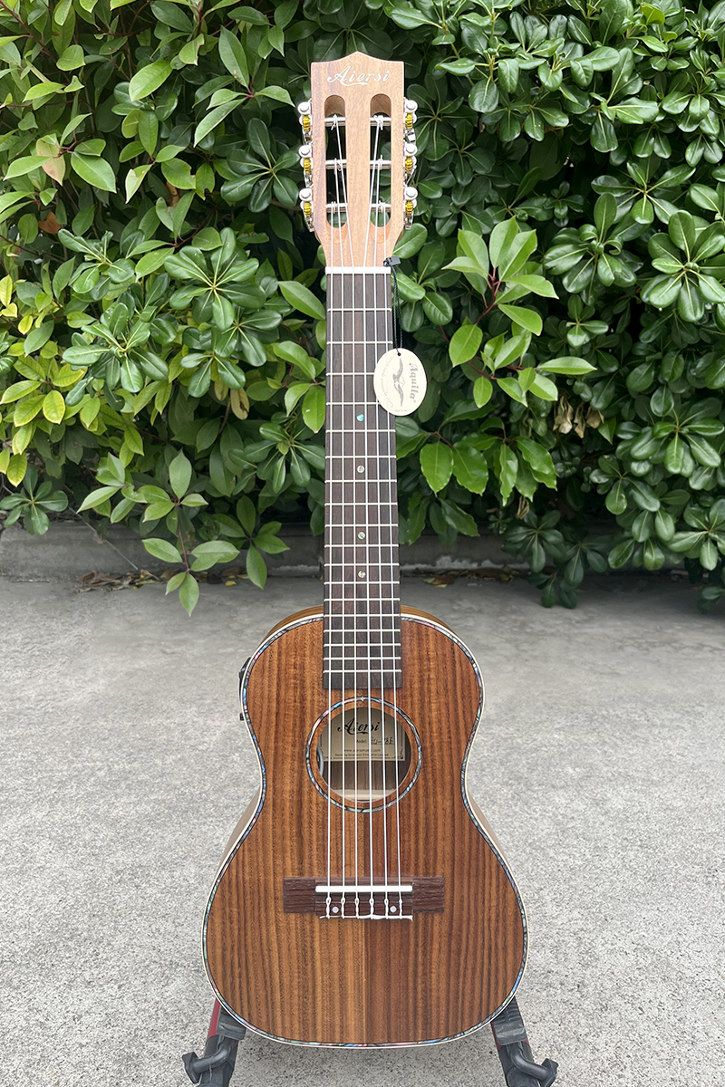 electric guitarlele (1)