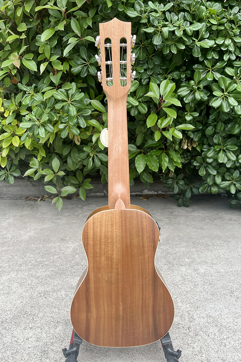 electric guitarlele (3)