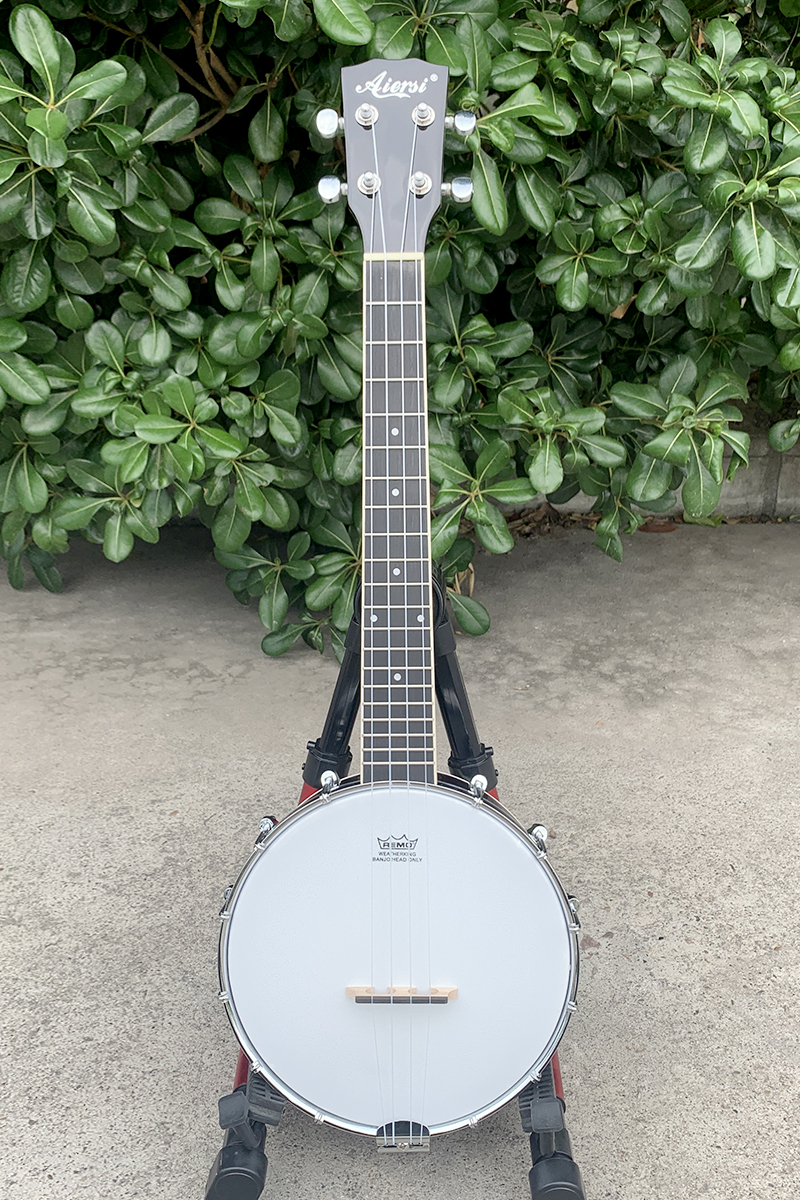 tenor banjolele aiersi (1)