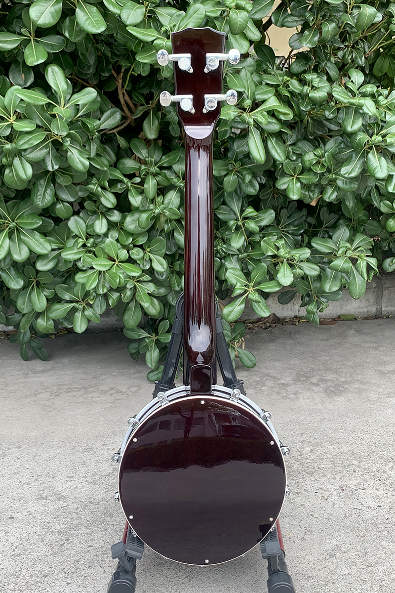 tenor banjolele aiersi (3)