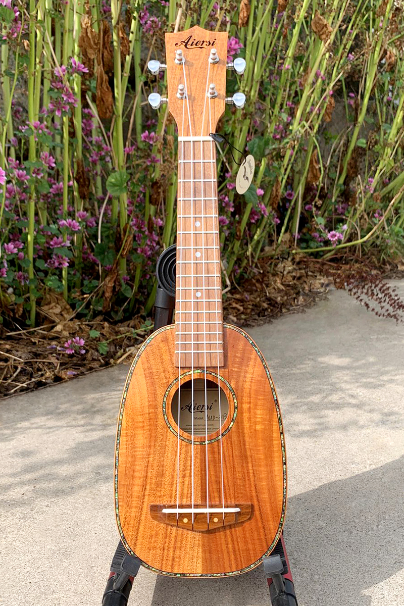Aiersi ukulele AUP-21B (1)