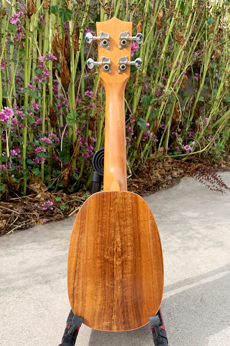 Aiersi ukulele AUP-21B (2)