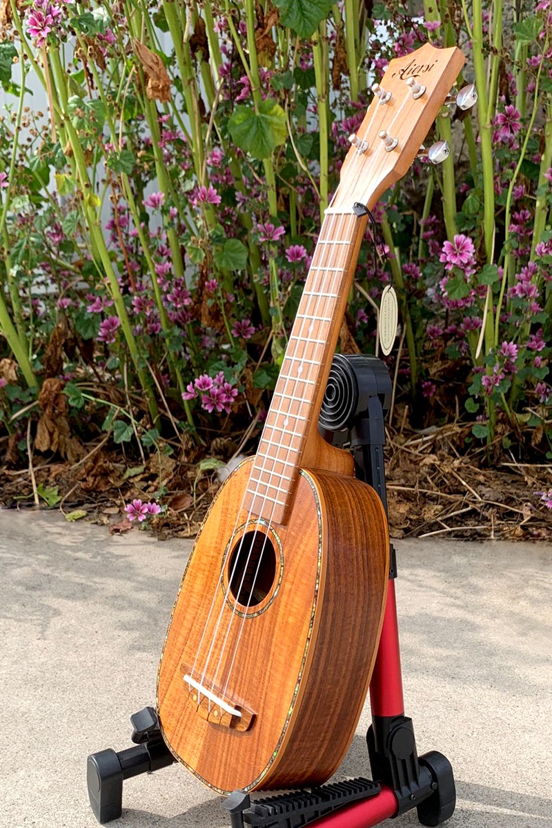Aiersi ukulele AUP-21B (3)